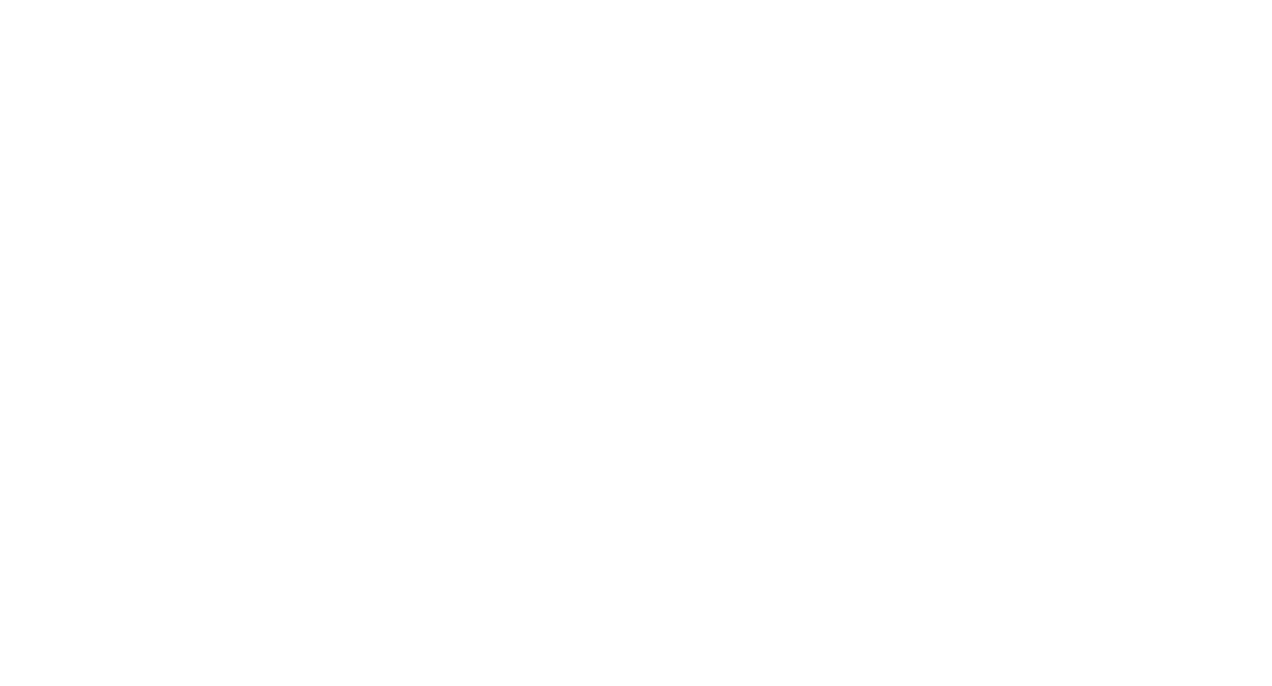 Transidea